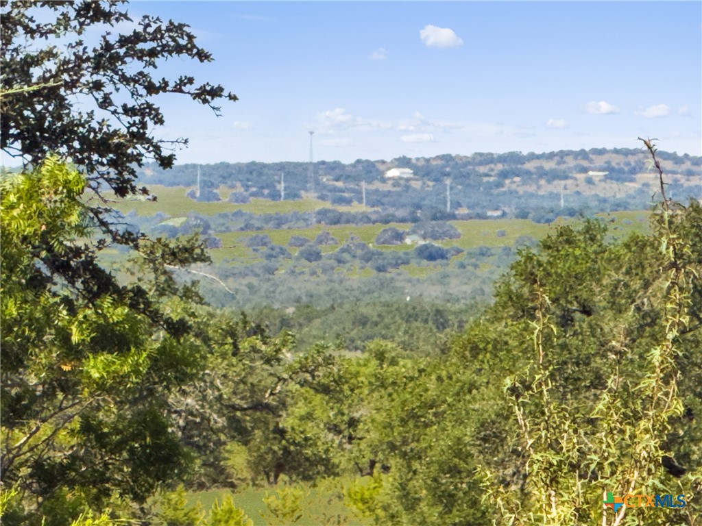 820 Stone Ridge Mountain Drive Round Mountain, TX 78663 - Photo 5 of 32 a view of a city