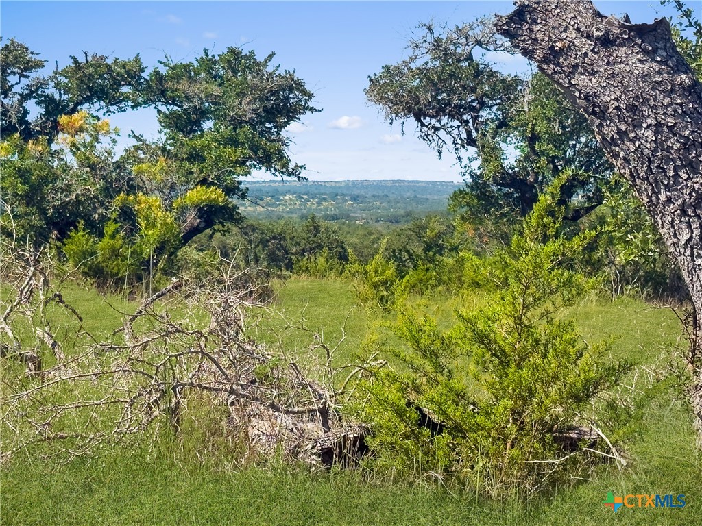 820 Stone Ridge Mountain Drive Round Mountain, TX 78663 - Photo 6 of 32 a view of a garden