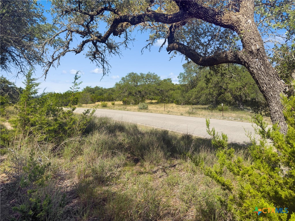 820 Stone Ridge Mountain Drive Round Mountain, TX 78663 - Photo 8 of 32 a view of lake view with mountain in the background