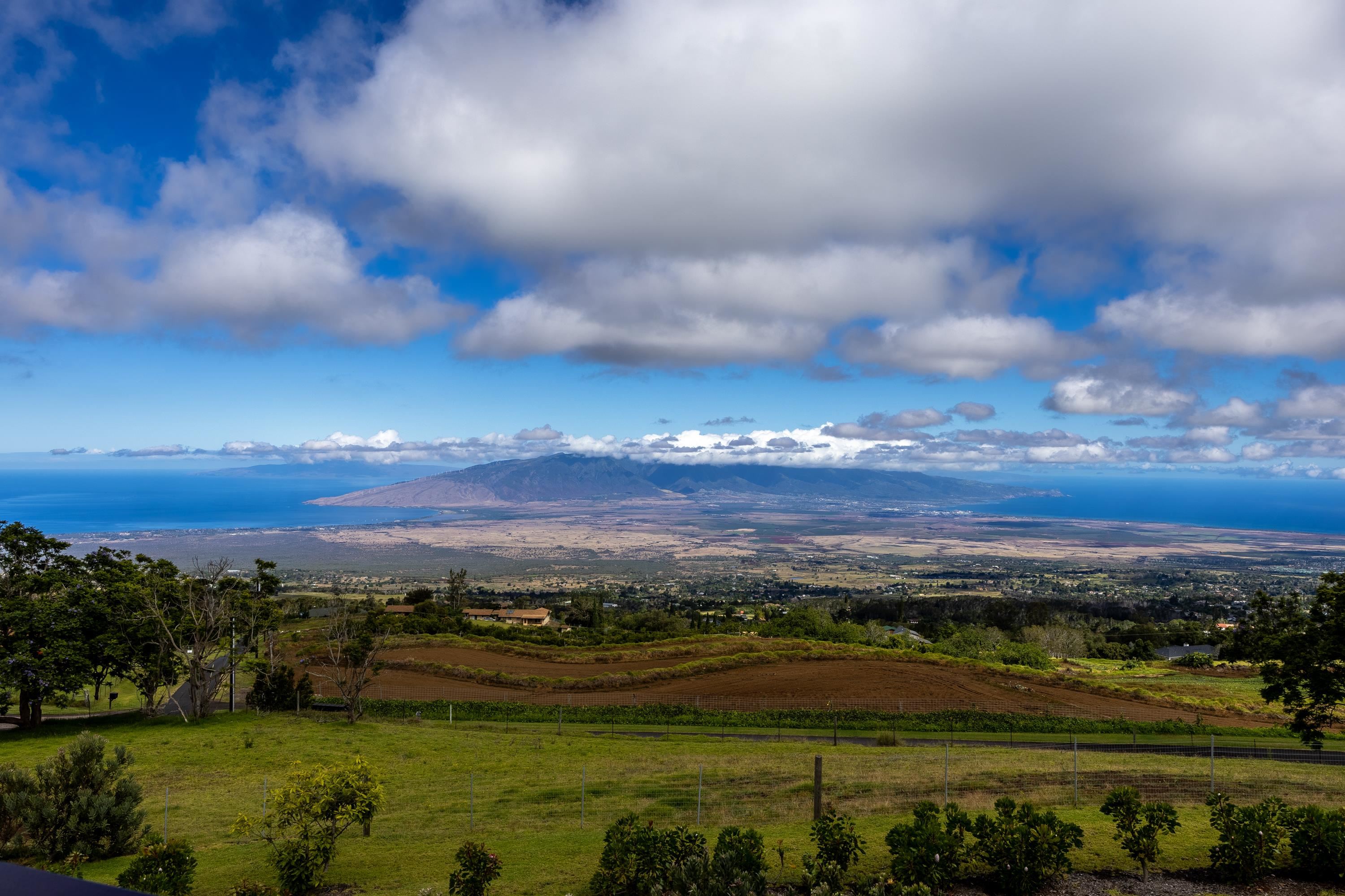 592 Hapapa Road Kula, HI 96790 - Photo 3 of 50 Gallery Image 3