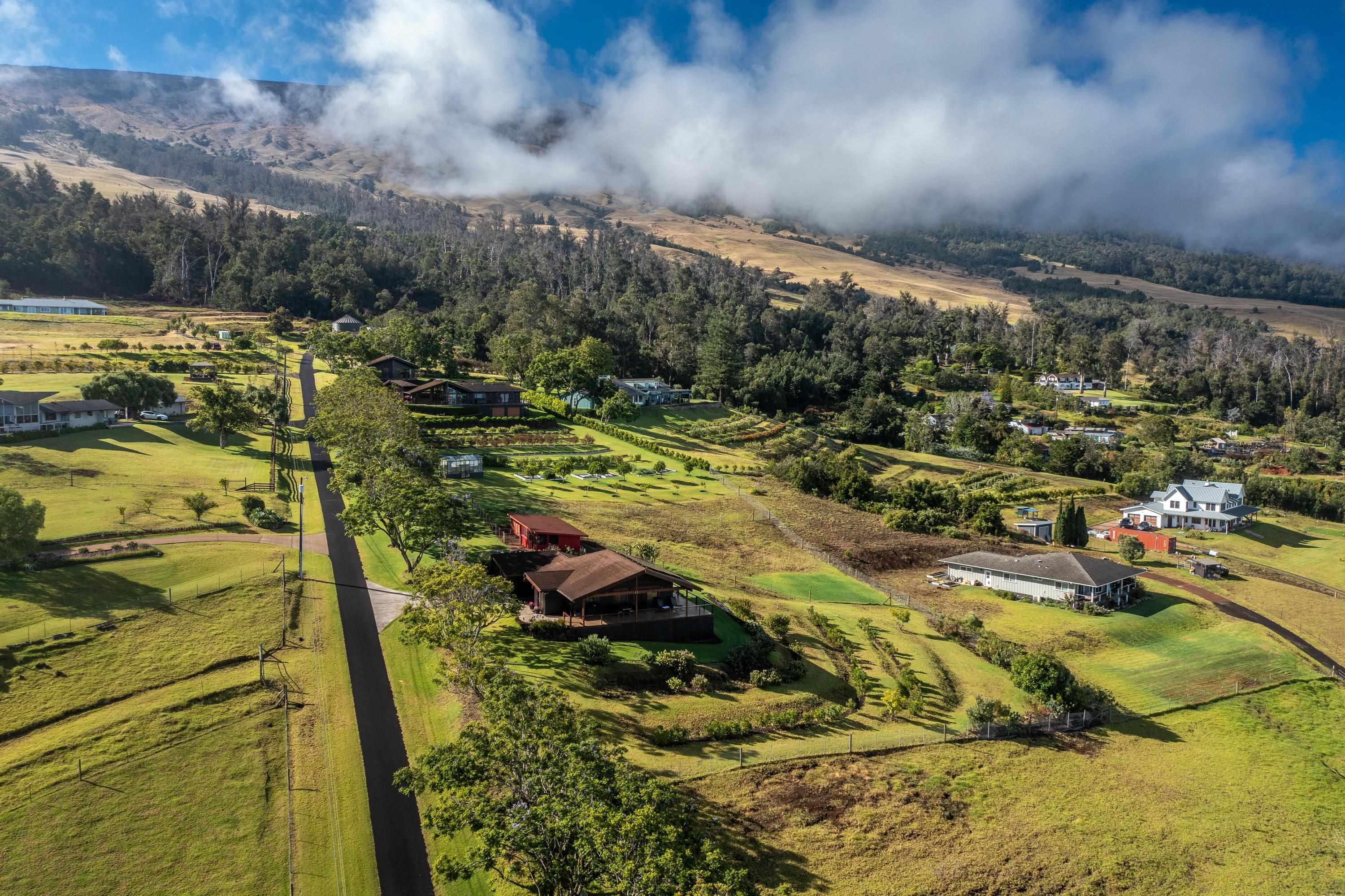 592 Hapapa Road Kula, HI 96790 - Photo 4 of 50 Gallery Image 4