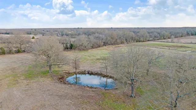 $924,900 | 9216 Farm Road 195, Paris, TX 75462
