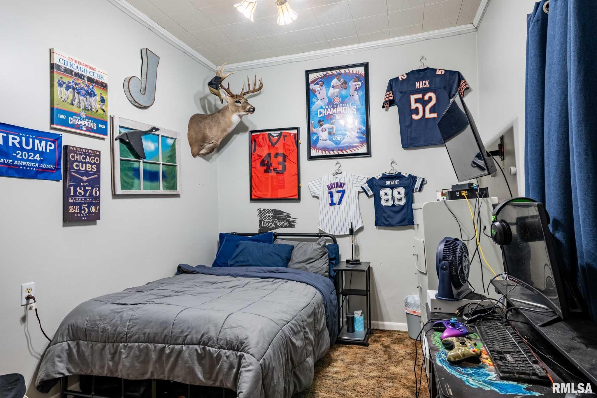 522 North Division Street Carterville, IL 62918 - Photo 18 of 25