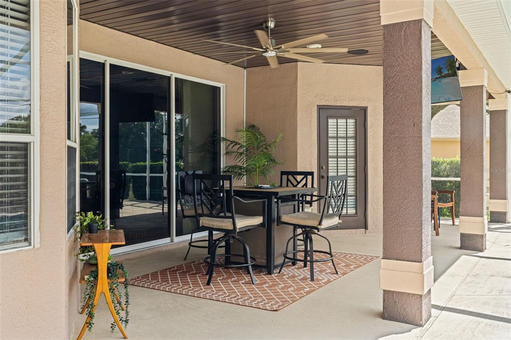10327 Velvetseed Circle Spring Hill, FL 34608 - Photo 51 of 60