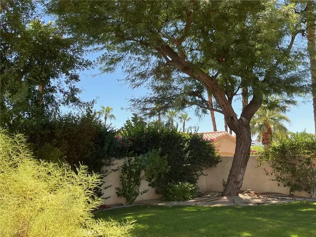 a close up of a plant