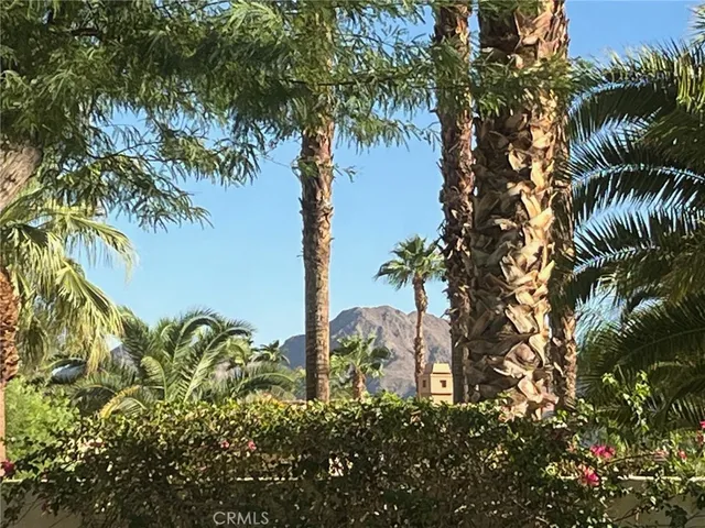 a plant that is in front of a tree