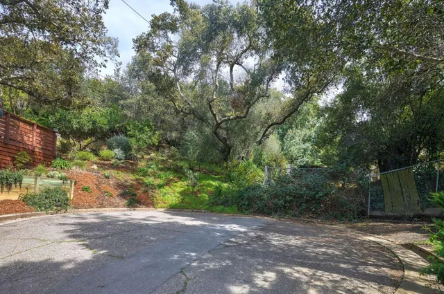 a view of a yard with plants and trees