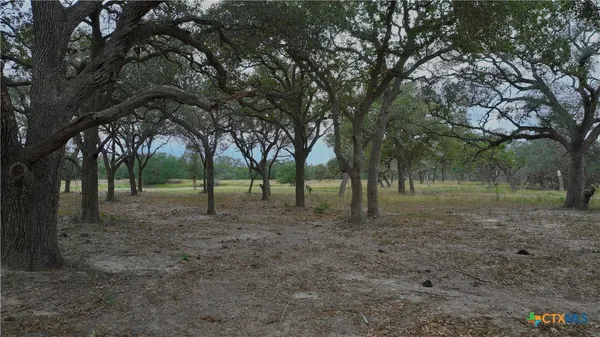 a view of outdoor space with trees