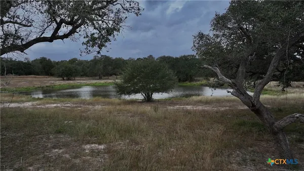 a view of a yard with a tree