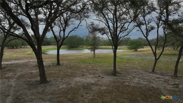 a view of some trees in the forest