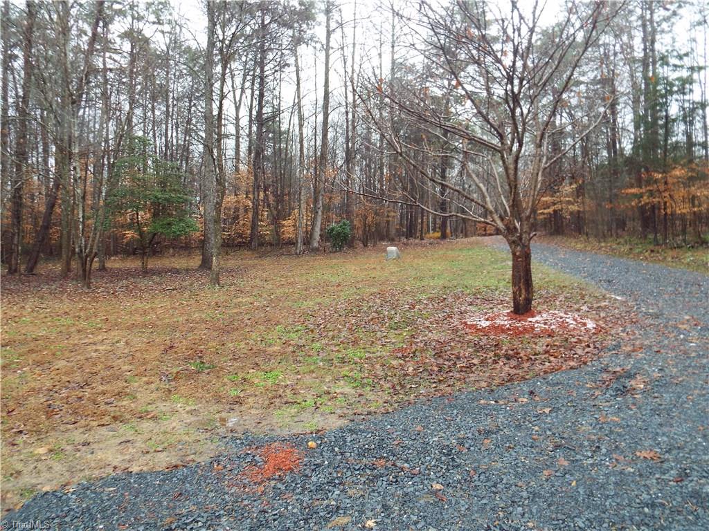 1517 Langley Road Staley, NC 27355 - Photo 6 of 13