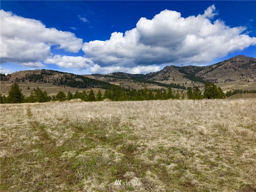 14 Big Hole Road Republic, WA 99166 - Photo 1 of 5 Gallery Image 1