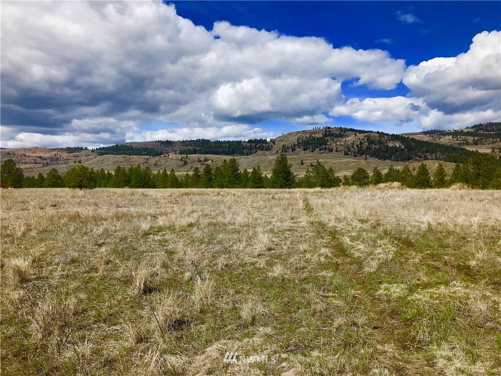14 Big Hole Road Republic, WA 99166 - Photo 2 of 5 Gallery Image 2