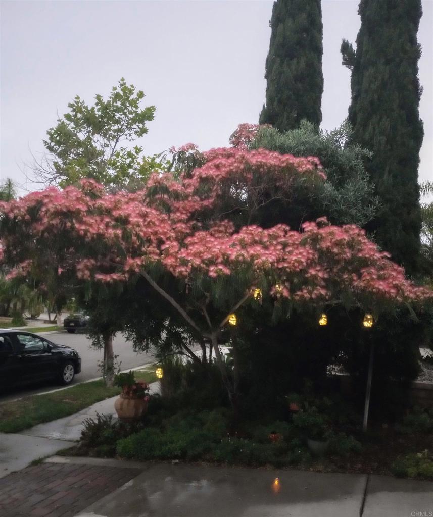 5544 Mill Creek Road San Diego, CA 92130 - Photo 39 of 54 a view of outdoor space and street view