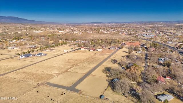 a street view with large trees