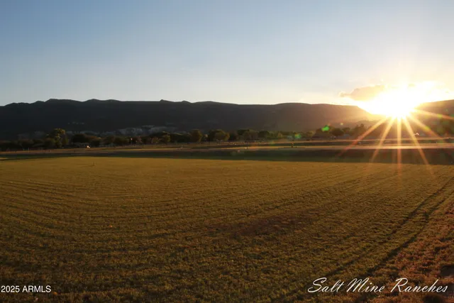 a view of an ocean and a mountain