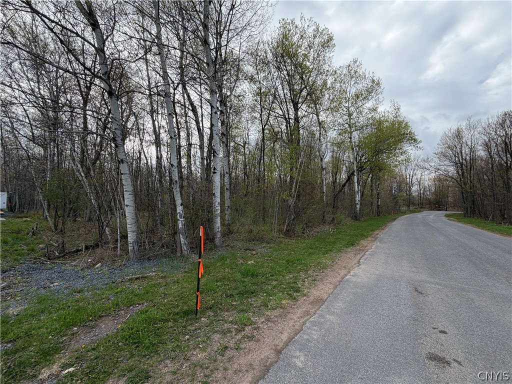 0 Farney Pit Road Carthage, NY 13619 - Photo 2 of 7