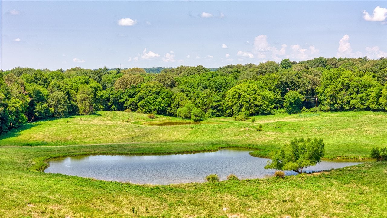 2362 Roark Road Franklin, KY 42134 - Photo 65 of 79 Gallery Image 65