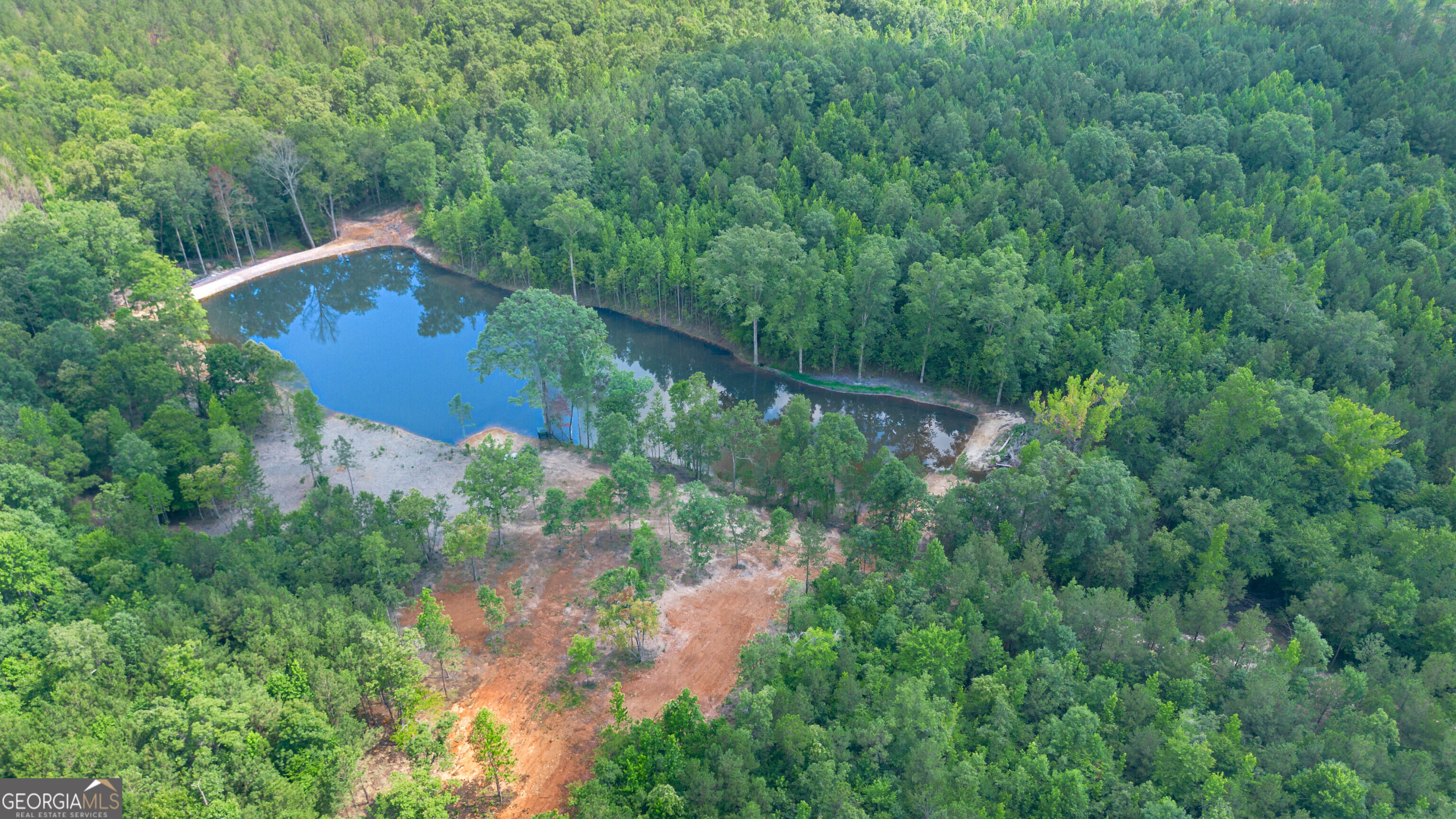 0 Vineyard Fruithurst, AL 36262 - Photo 11 of 21