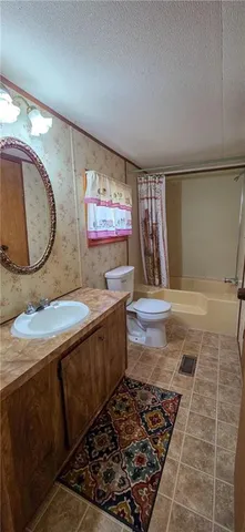 a bathroom with a sink a mirror and a toilet