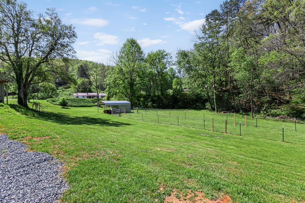 2445 Hanging Dog Road Murphy, NC 28906 - Photo 6 of 68