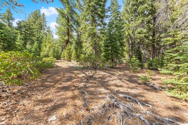 a view of backyard with green space