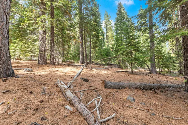 a view of backyard with green space