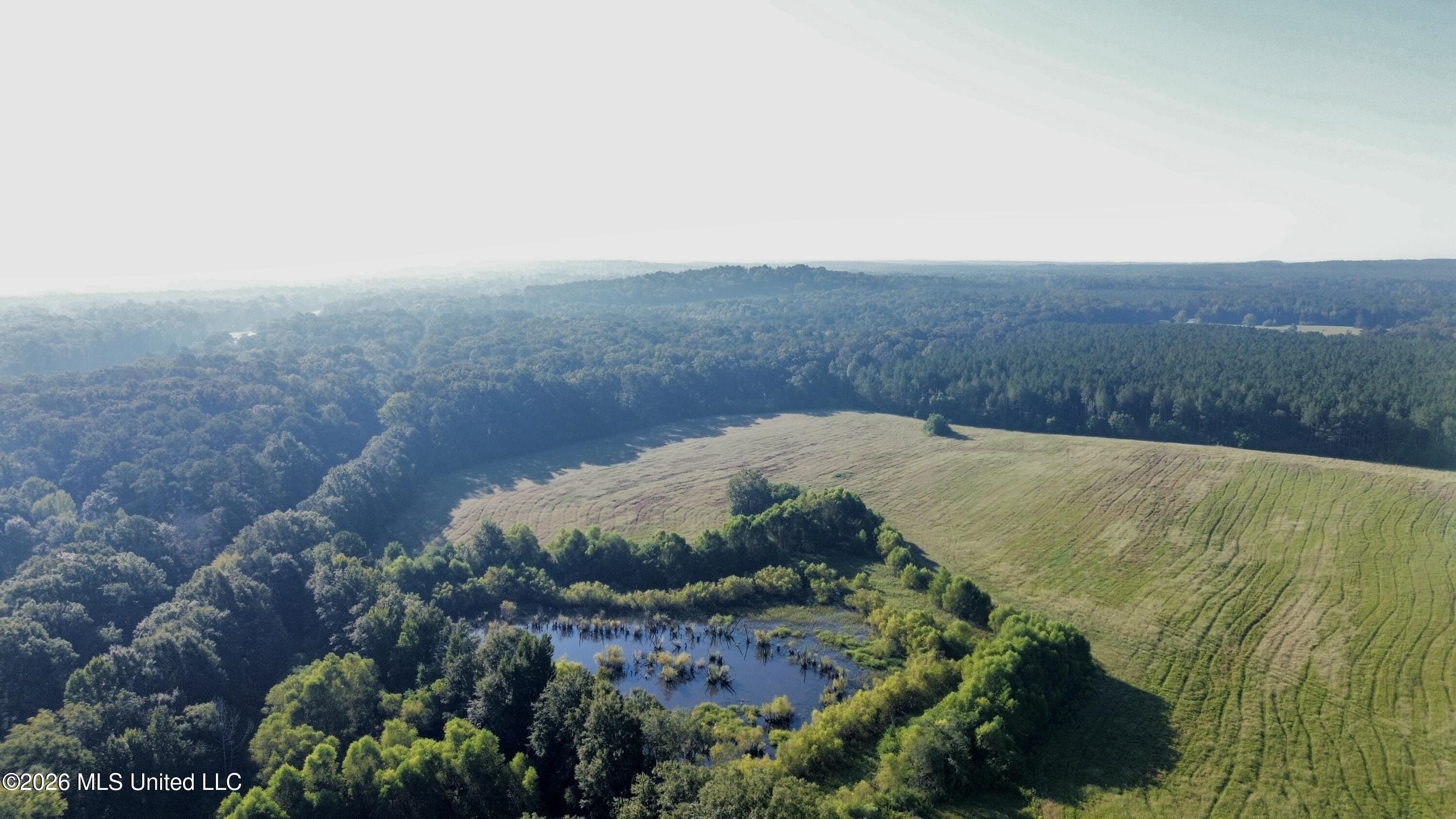 132 Collins Road Florence, MS 39073 - Photo 20 of 25 dji_fly_20260813_013926_848_178974758650