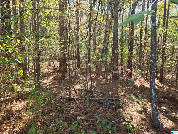 $29,500 | 0 Maynor Lane, Unit 21, Oneonta, AL 35121