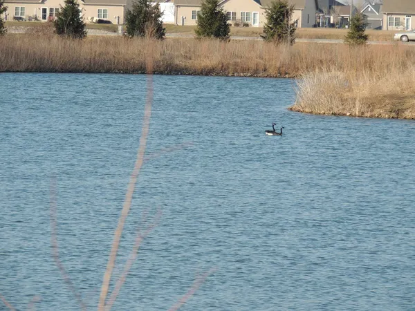 a view of outdoor space and yard