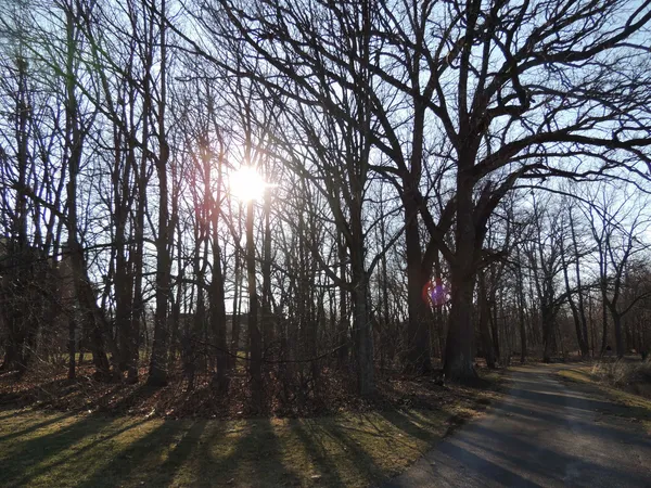 a view of lake and mountain