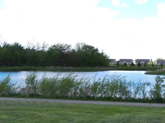 a view of a street with a trees