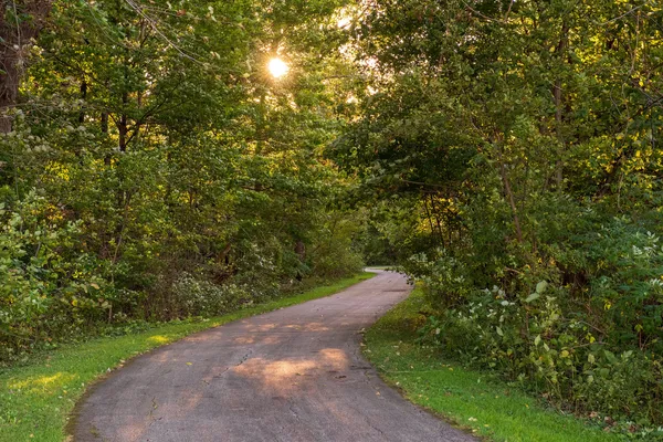 a view of lake with houses