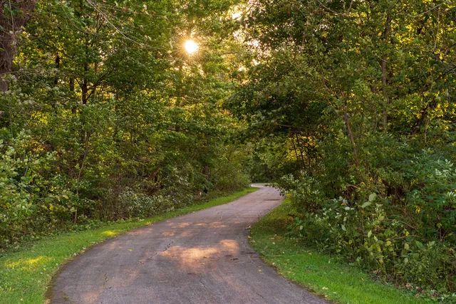 a view of lake with houses