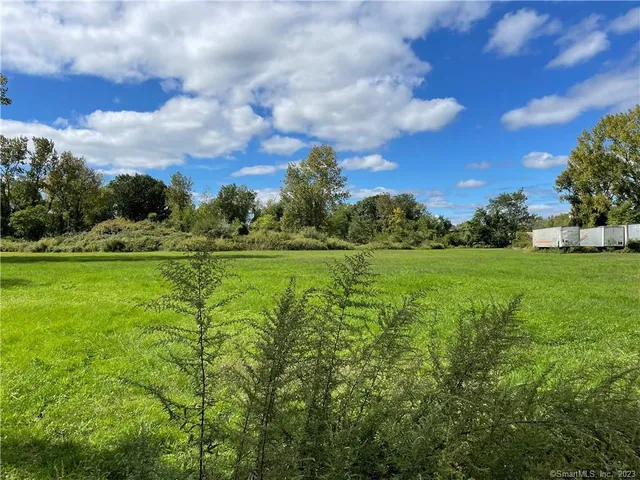 a view of a grassy field with trees around