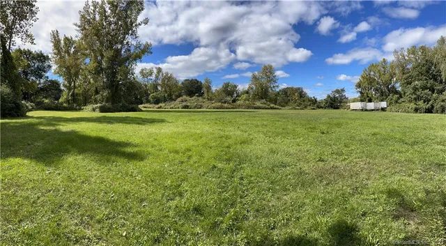 a view of yard with green space