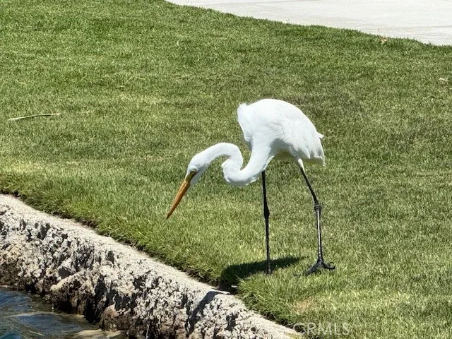 $725,000 | 246 Sunstone Place, Rancho Mission Viejo, CA 92694