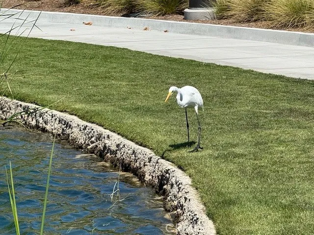 $725,000 | 246 Sunstone Place, Rancho Mission Viejo, CA 92694