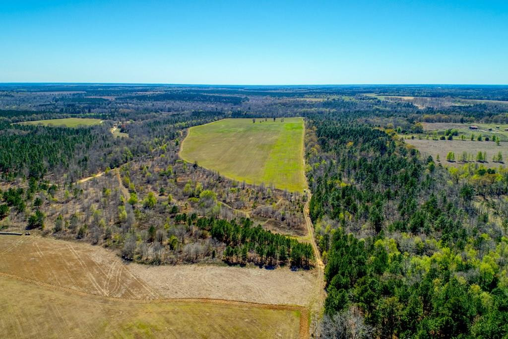 509 Shadow Lane Road Wagener, SC 29164 - Photo 3 of 9