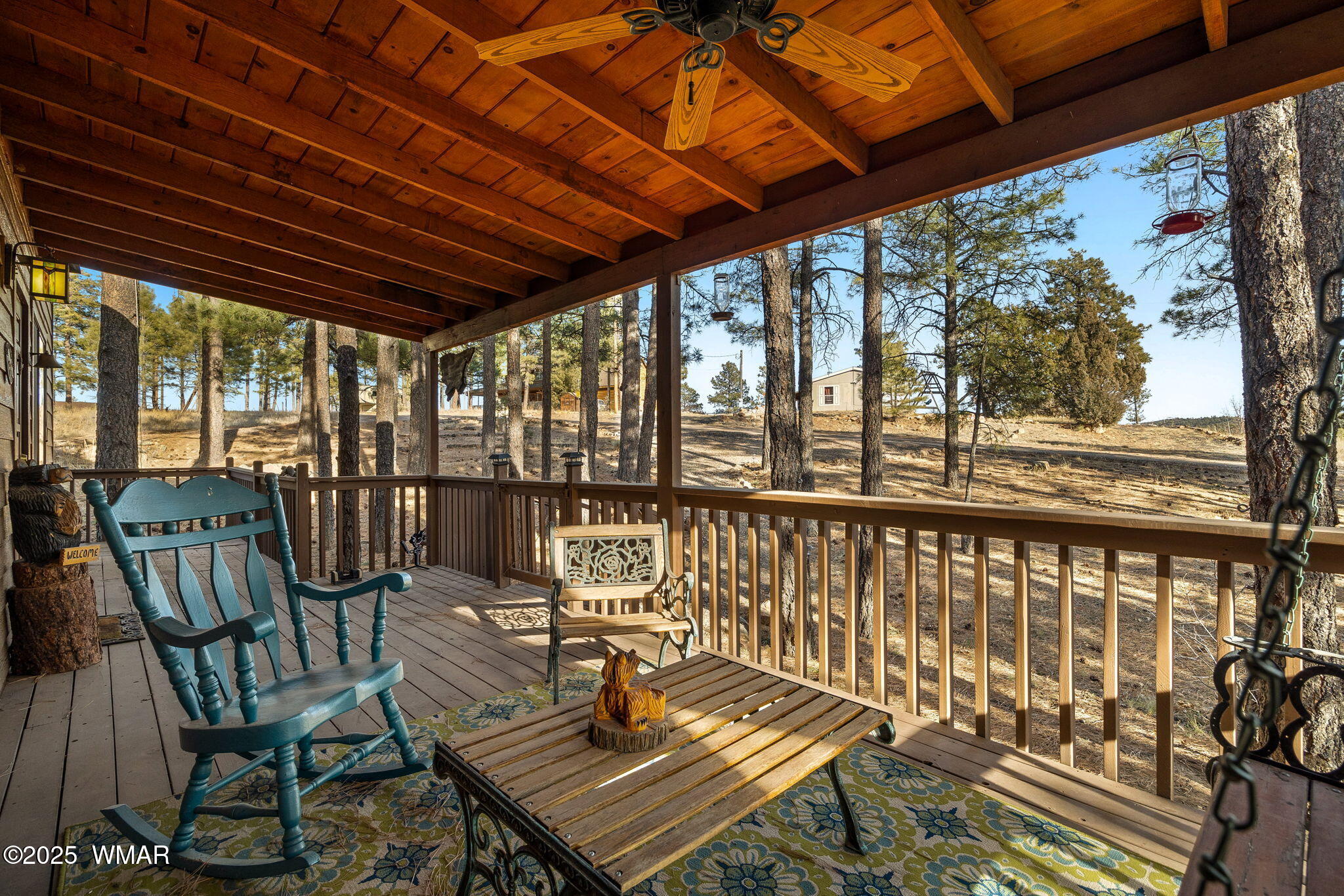 1166 Brown Road Show Low, AZ 85901 - Photo 7 of 54 Front Deck