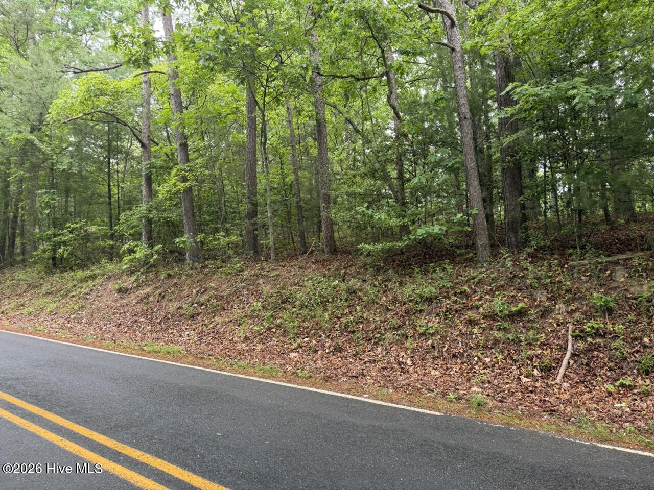274 Snow Hill Ridge Road Murphy, NC 28906 - Photo 23 of 30