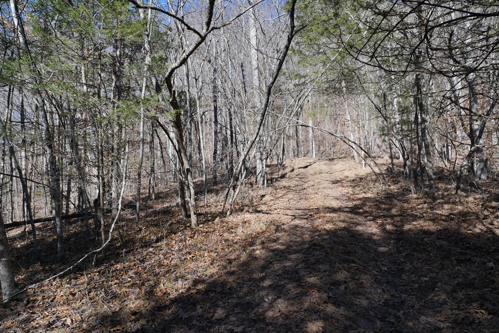 Tbd Tbd Dean Road Rose Hill, VA 24281 - Photo 64 of 97 Gallery Image 64