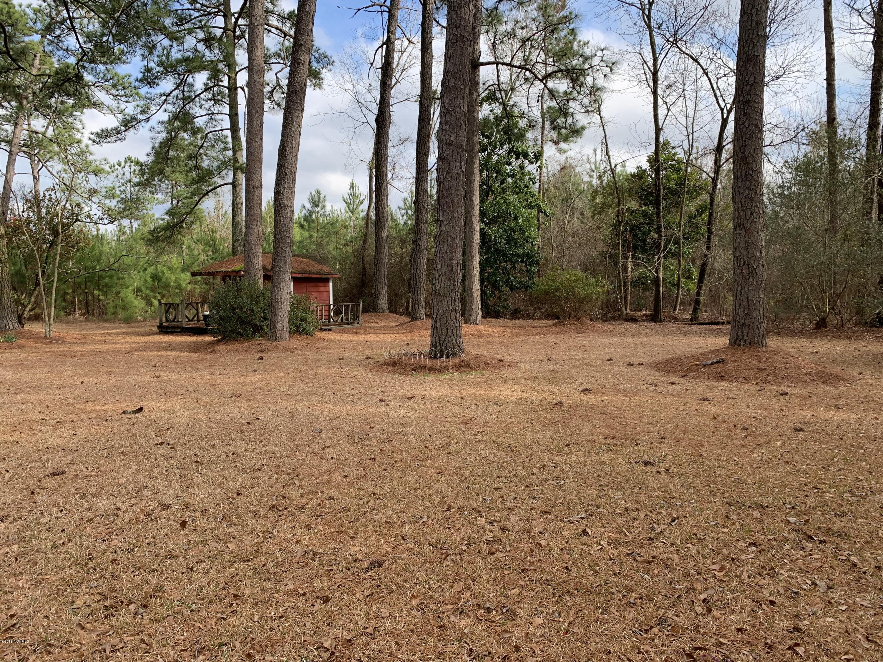 1911 Rouse Road Kinston, NC 28504 - Photo 23 of 25 Back yard