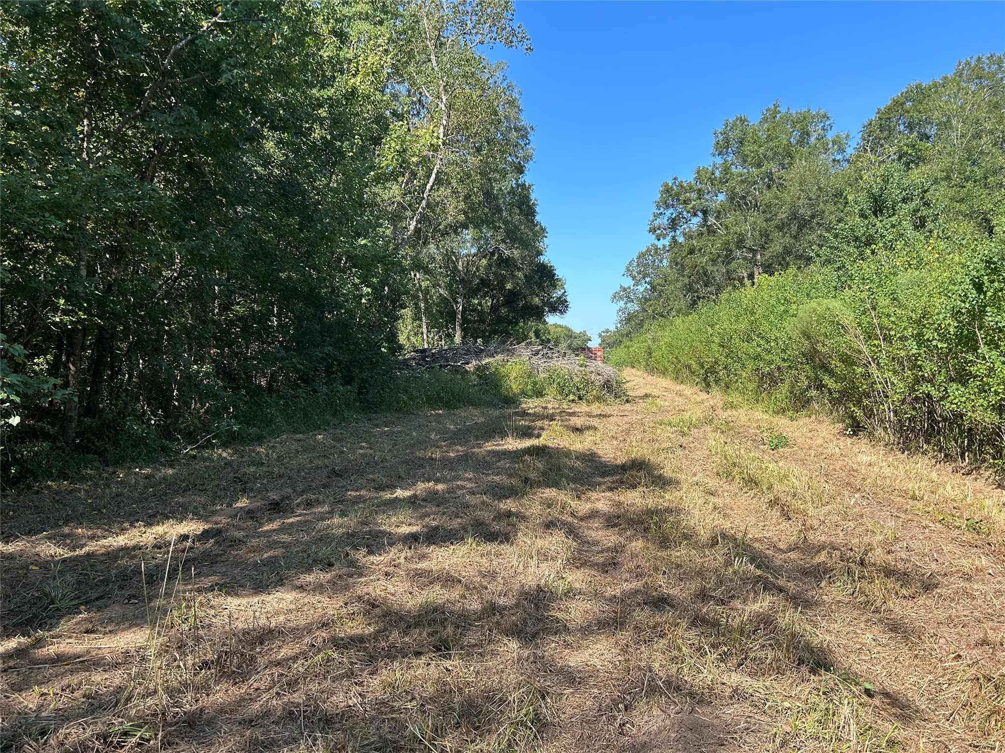 Na McGuire Road Liberty, TX 77575 - Photo 14 of 42