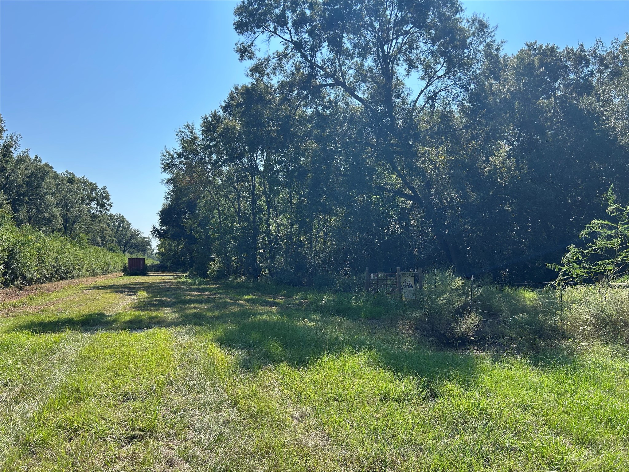 Na McGuire Road Liberty, TX 77575 - Photo 15 of 42