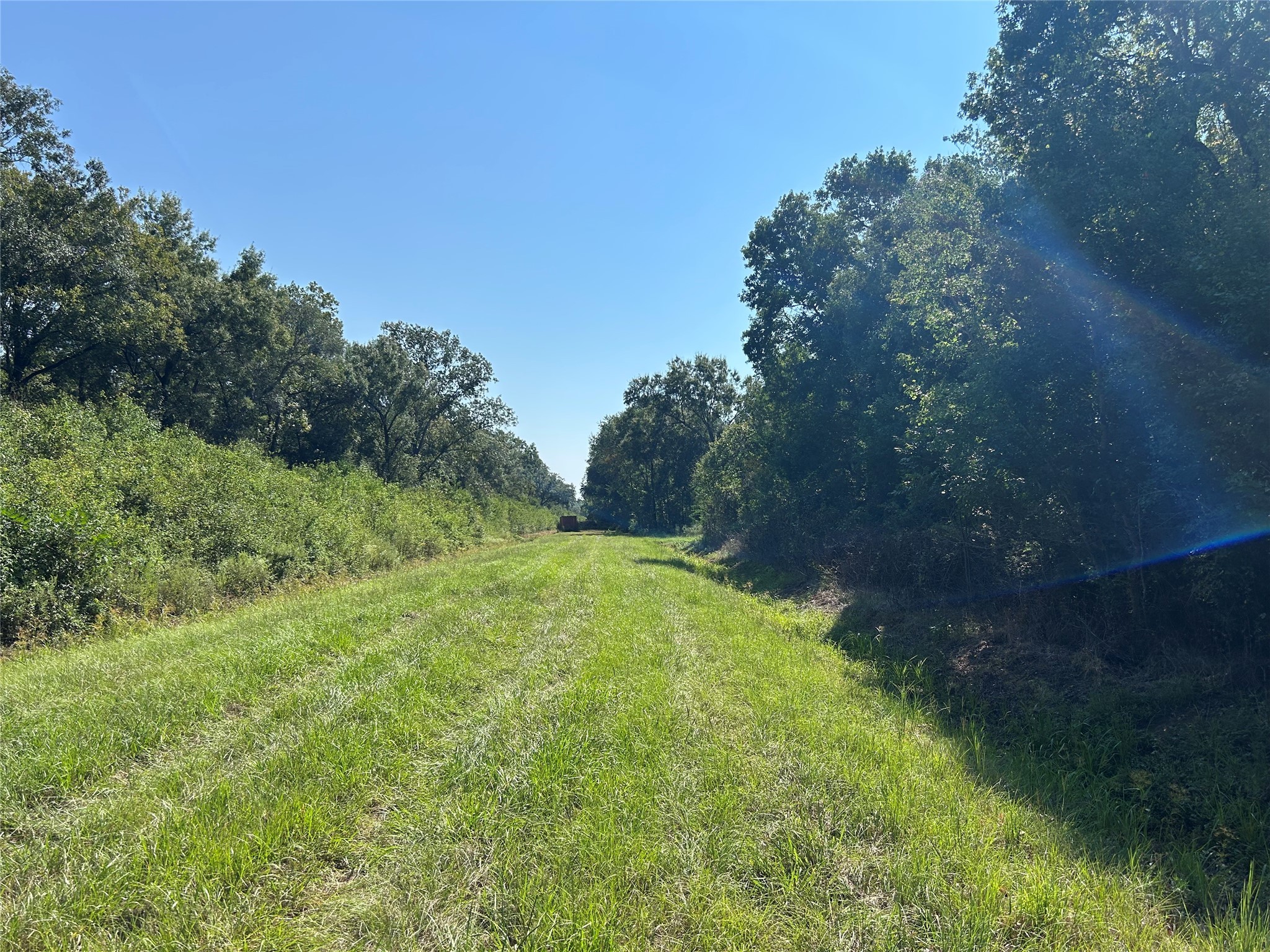 Na McGuire Road Liberty, TX 77575 - Photo 16 of 42