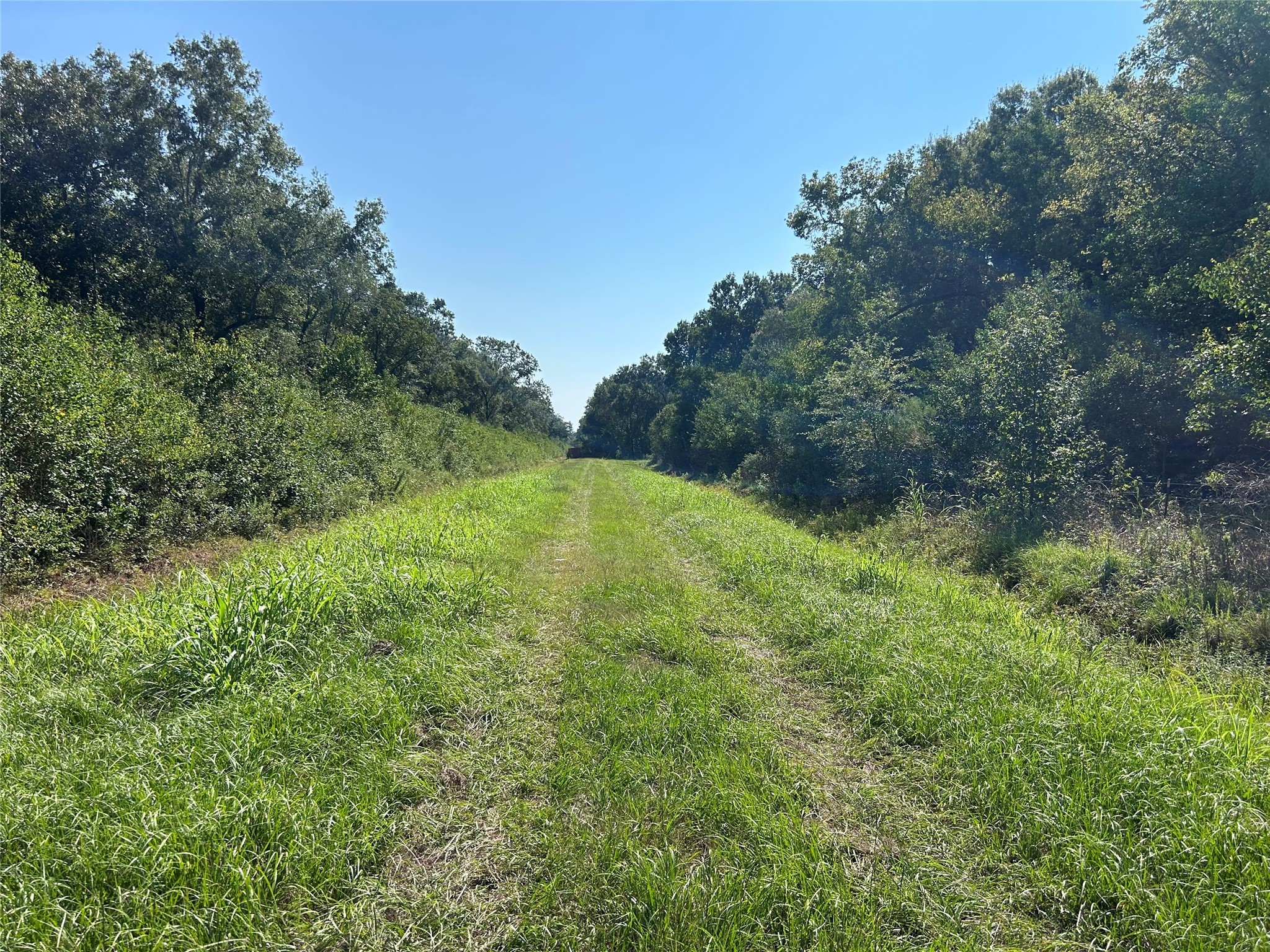Na McGuire Road Liberty, TX 77575 - Photo 18 of 42