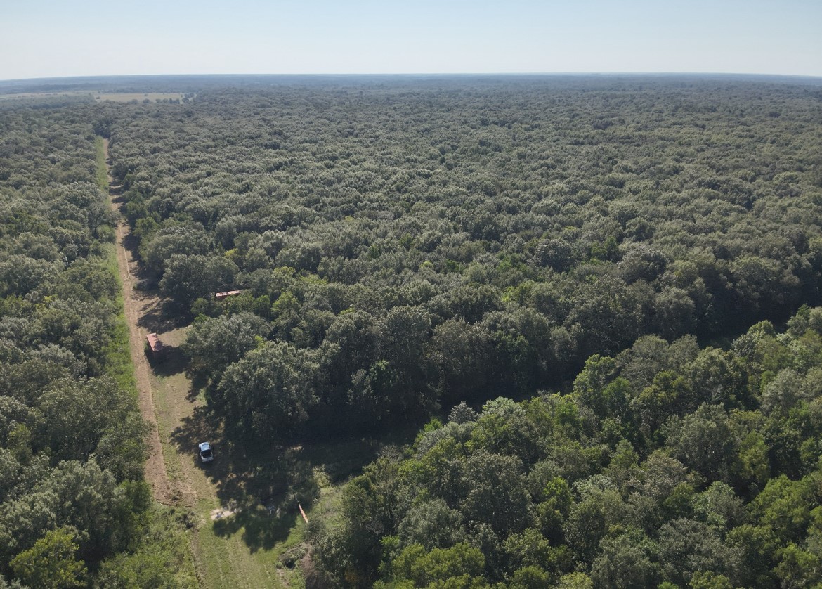 Na McGuire Road Liberty, TX 77575 - Photo 20 of 42