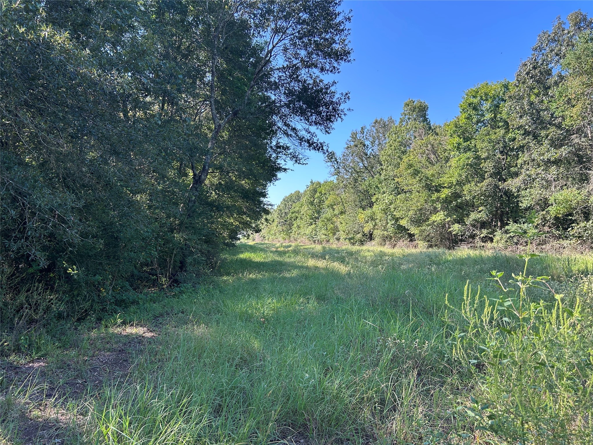 Na McGuire Road Liberty, TX 77575 - Photo 2 of 42