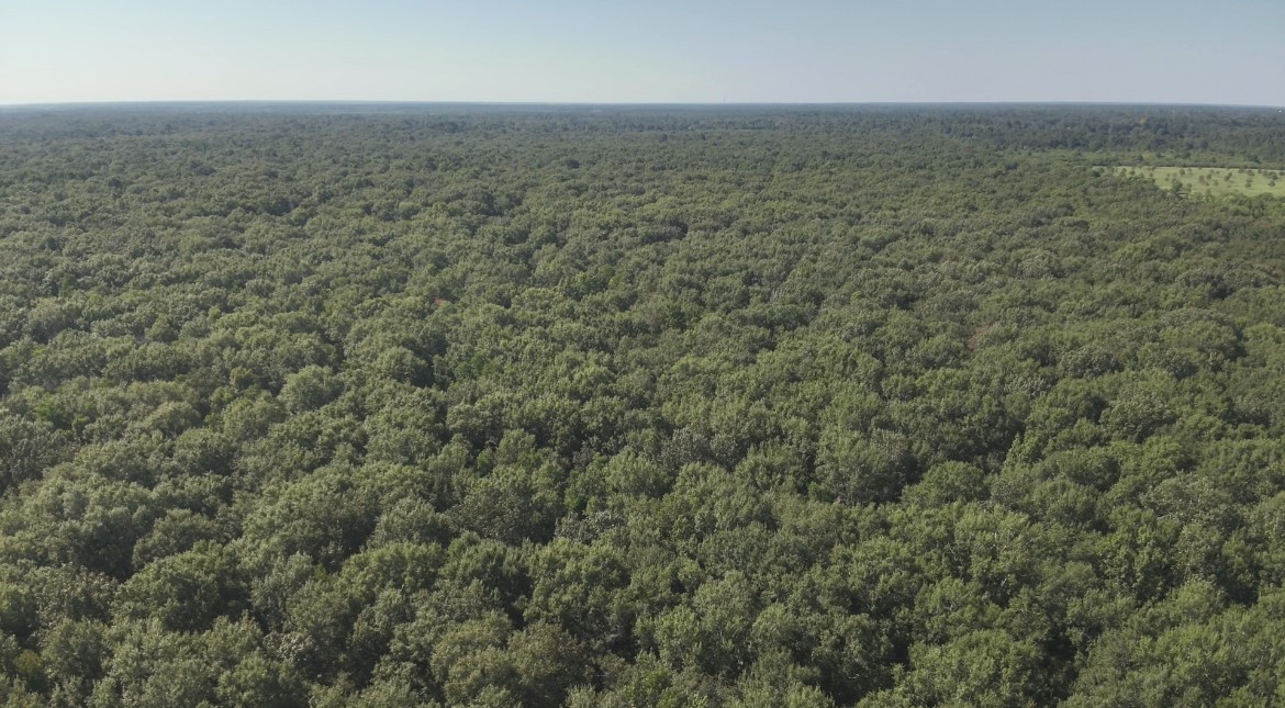 Na McGuire Road Liberty, TX 77575 - Photo 22 of 42